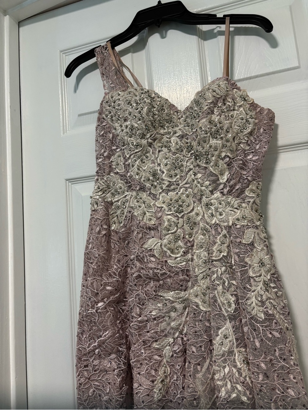 Catwalk Couture Lilac (lavender) Lace Embellished Evening Gown 6 - Picture 16 of 17